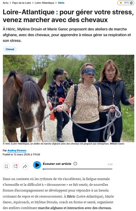 marche avec les chevaux gestion du stress ayumi rezé